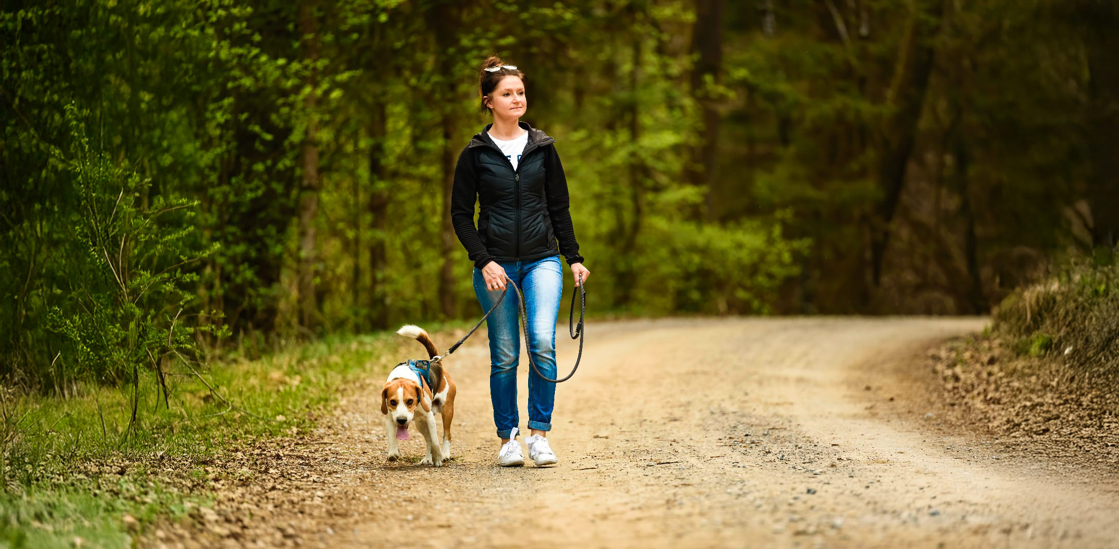 The Weight of the Lead: Walking a Reactive Dog When the World Is Watching