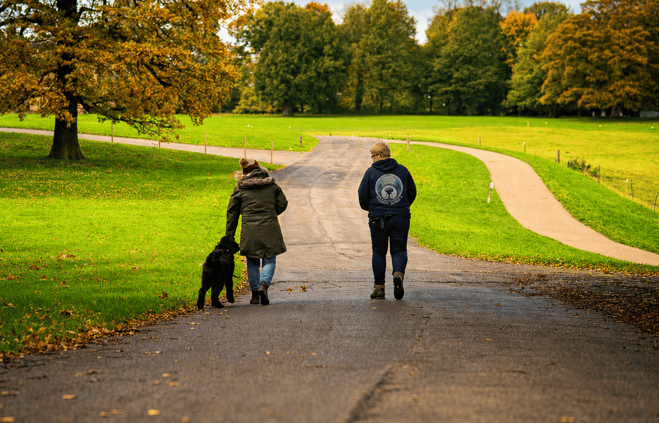 Two people seen from behind walk along a wide paved pathway cutting through a sprawling green park during the autumn season. Two people seen from behind walk along a wide paved pathway cutting through a sprawling green park during the autumn season.